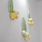 Benefici Maruggio