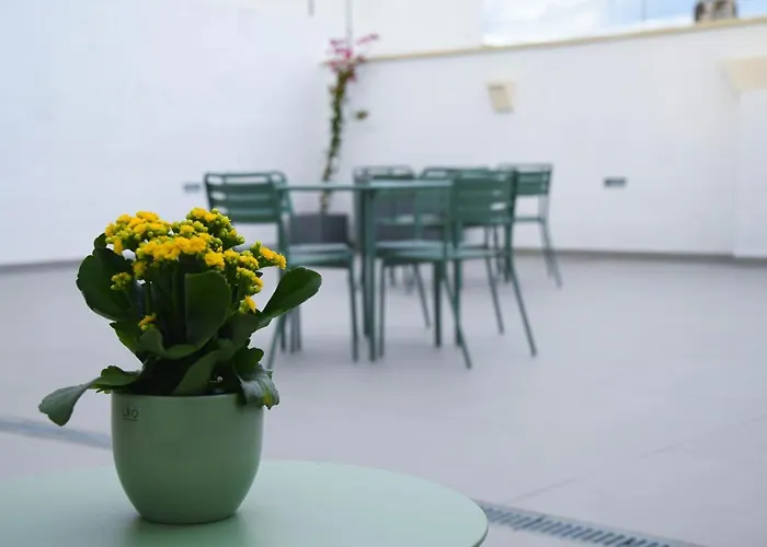 Benefici مارودجو